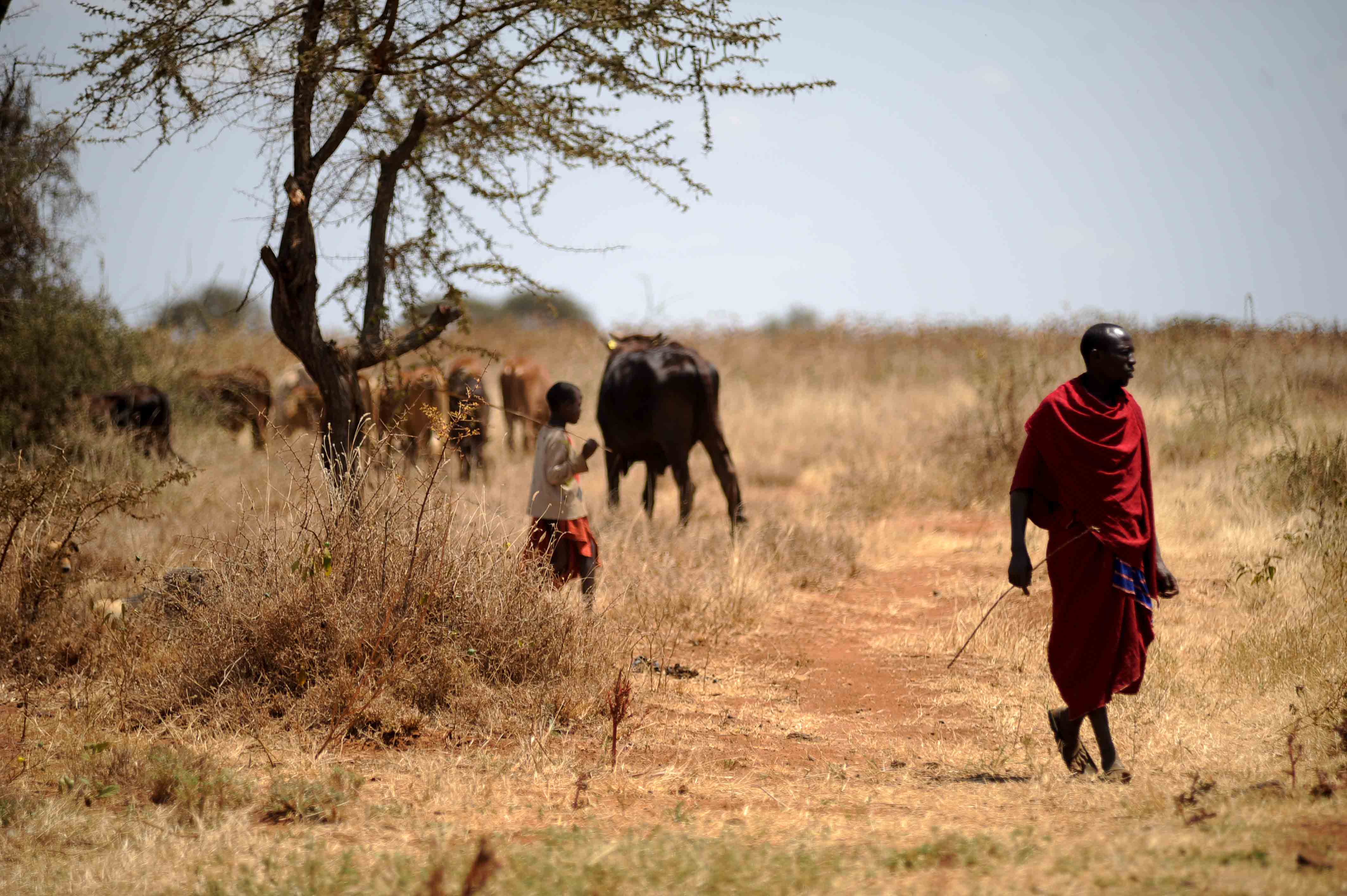 Supporting the mental wellbeing of Community Health Workers