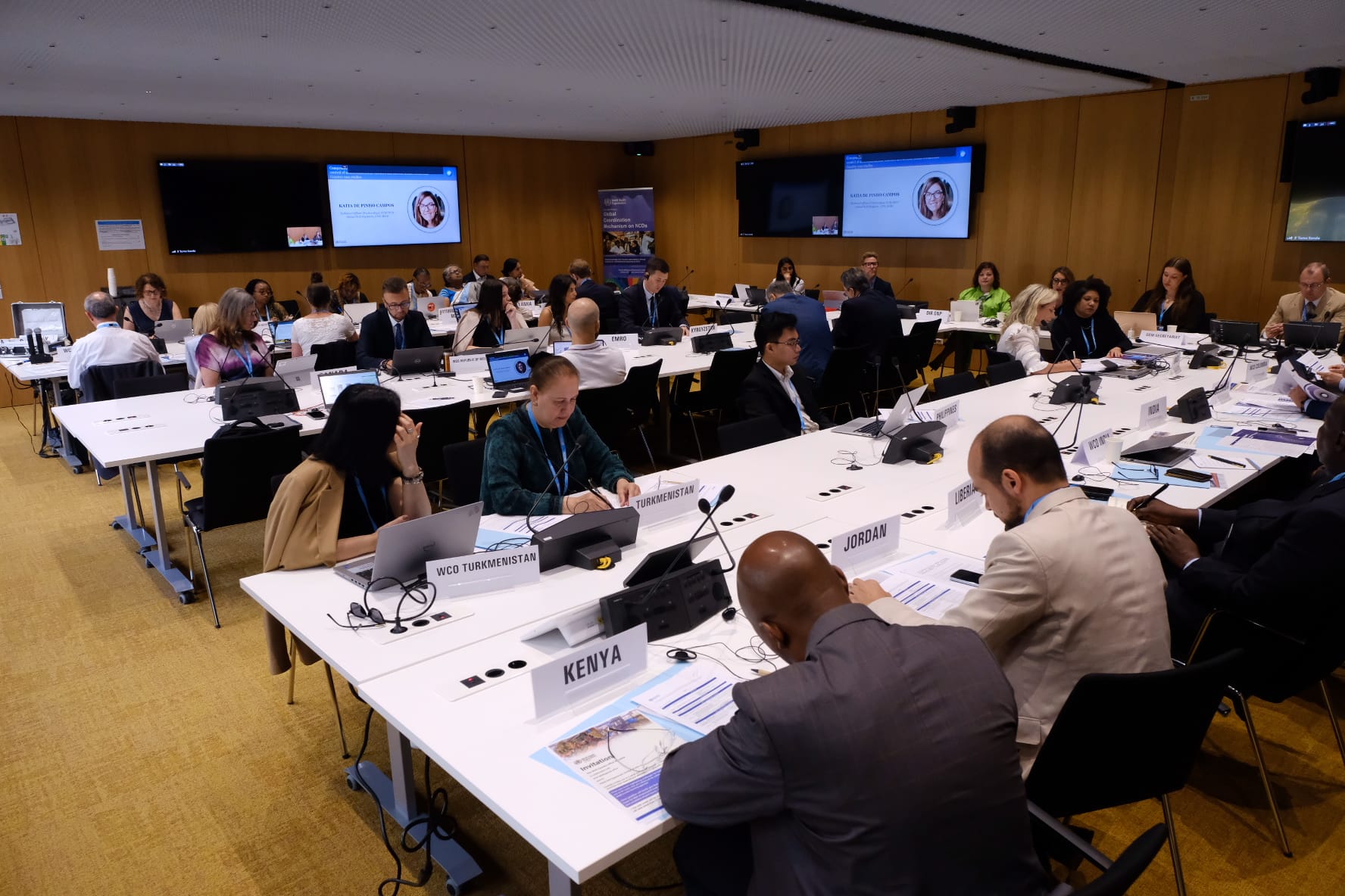 Technical meeting: Accelerating actions for multisectoral and multistakeholder collaboration in the lead up to the fourth High-level Meeting of the United Nations General Assembly on the prevention and control of NCDs